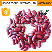 Hot sale red kidney beans products